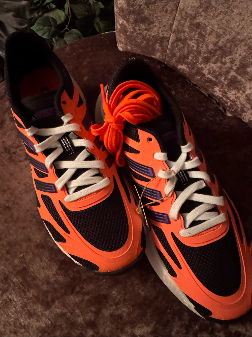 adidas Adizero Aruku
Black Active Purple Coral (Women's)